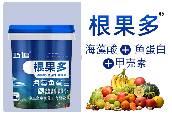 Ҏ?巧追-中正化工_03.jpg
