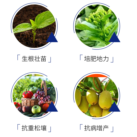 Ҏ?巧追-中正化工_05.jpg