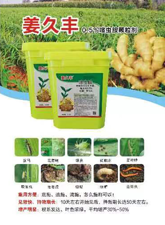 寰俊鍥劇墖_20240102084645.jpg