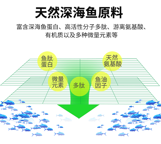 5.png 5.png