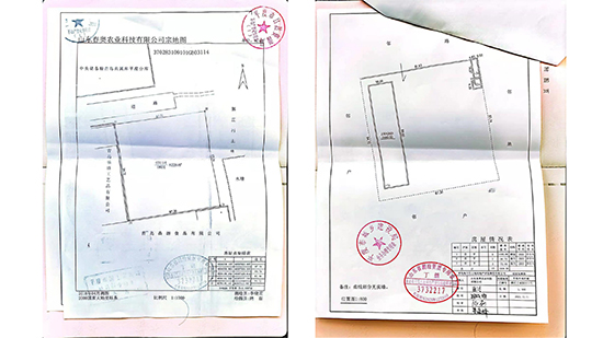 Company-profile---chino_12.jpg