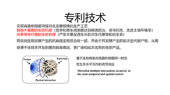 伊宝阿巴?--保定_08.jpg