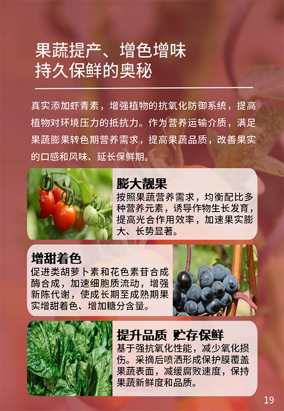 20.jpg 20.jpg