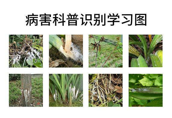 璇︽儏欏礯02.jpg