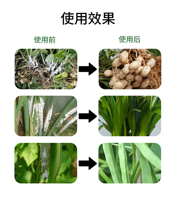 璇︽儏欏礯04.jpg