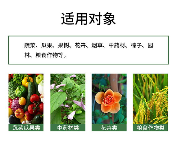 璇︽儏欏礯05.jpg