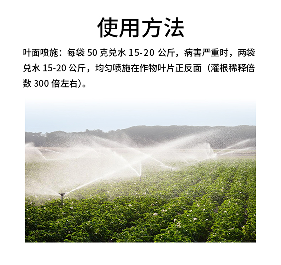 璇︽儏欏礯07.jpg