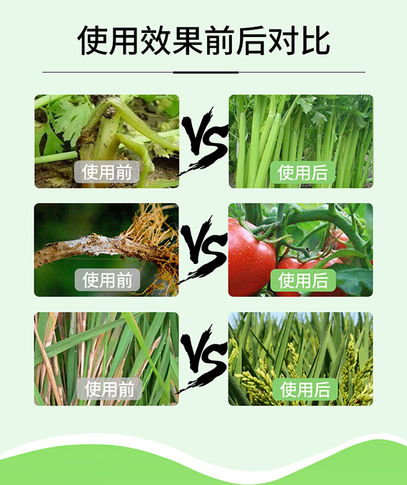 璇︽儏欏礯04.jpg