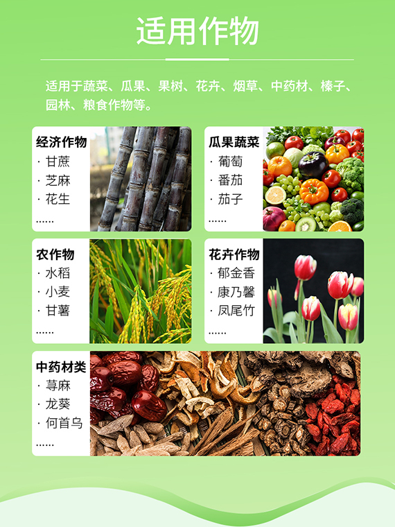 璇︽儏欏礯05.jpg