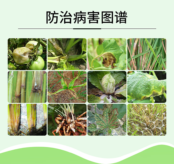璇︽儏欏礯08.jpg