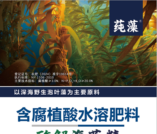 _详情页1_01.jpg