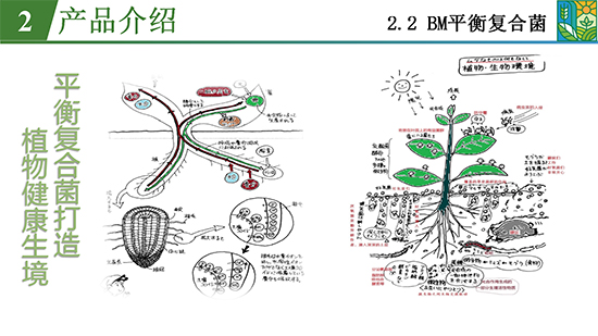 鑿屽惥緇嗙爺鍐滀笟綃嘷12.jpg 鑿屽惥緇嗙爺鍐滀笟綃嘷12.jpg