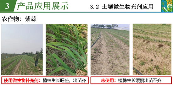 鑿屽惥緇嗙爺鍐滀笟綃嘷23.jpg 鑿屽惥緇嗙爺鍐滀笟綃嘷23.jpg