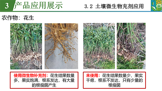 鑿屽惥緇嗙爺鍐滀笟綃嘷25.jpg 鑿屽惥緇嗙爺鍐滀笟綃嘷25.jpg