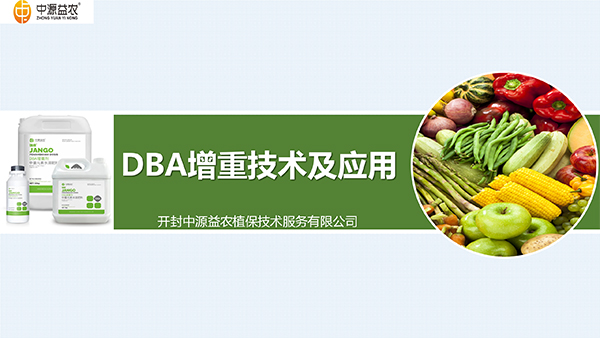 DBA澧為噸鍓俖01.jpg