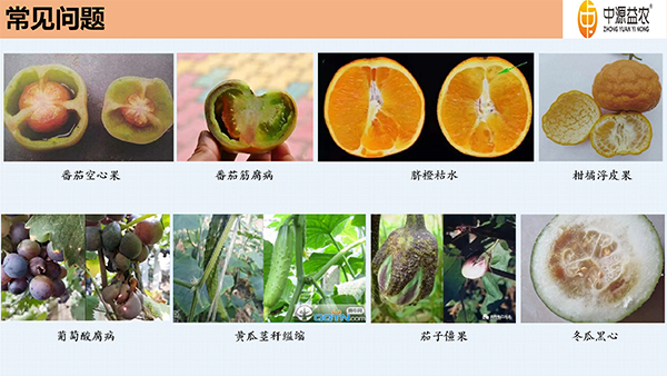 DBA澧為噸鍓俖04.jpg