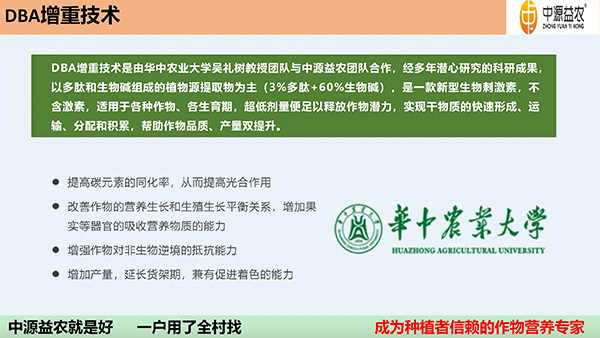 DBA澧為噸鍓俖08.jpg