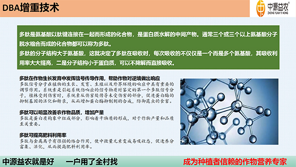 DBA澧為噸鍓俖09.jpg
