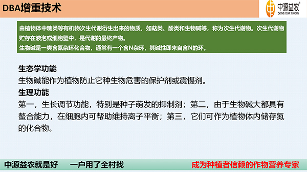 DBA澧為噸鍓俖10.jpg