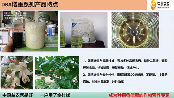 DBA澧為噸鍓俖15.jpg