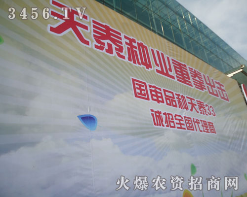山東天泰種業有限公司