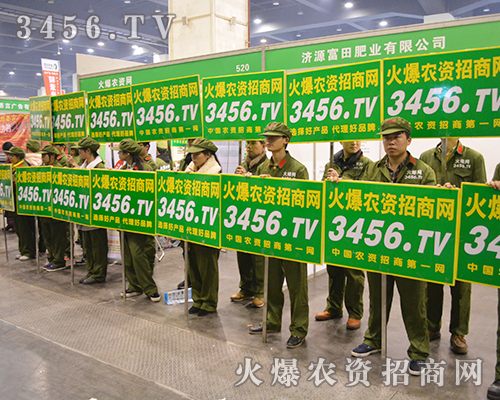 3456.TV用實(shí)力樹(shù)立火爆網(wǎng)形象