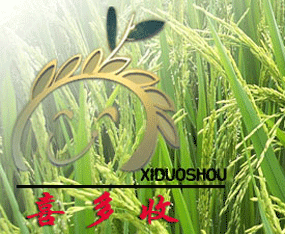 ϲշNIƼ޹˾
