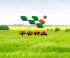 ʡƽNI޹˾
