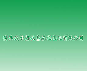 D؉r޹˾