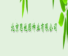 ˼؈@NI޹˾