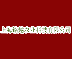 ϺԽrIƼ޹˾