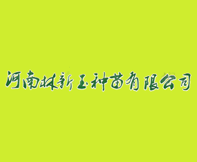 ShNr޹˾