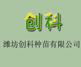 HƷN޹˾