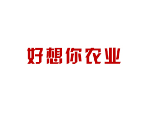 ̼ҺrI޹˾