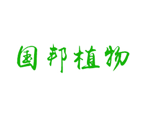 uֲIB޹˾
