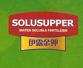 ¶_Ƽ޹˾