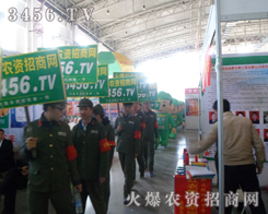 2013LrϣrYWݴ