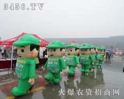 rYW2013Ͼp֮x