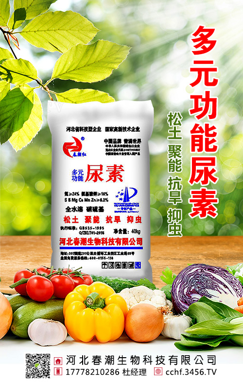尿素 尿素