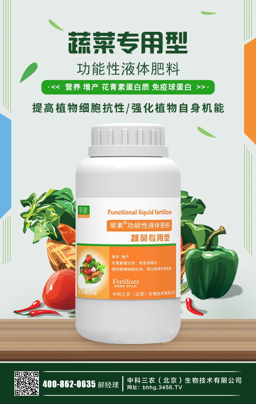 大棚蔬菜種植利潤怎么樣?大棚蔬菜種植技術大全! 大棚蔬菜種植利潤怎么樣?大棚蔬菜種植技術大全!
