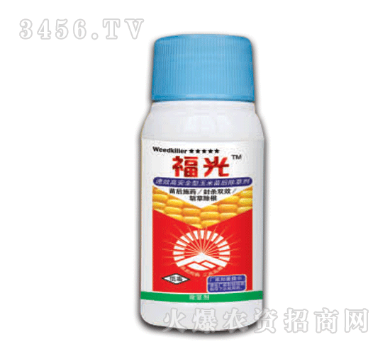 泰陽(yáng)-福光
