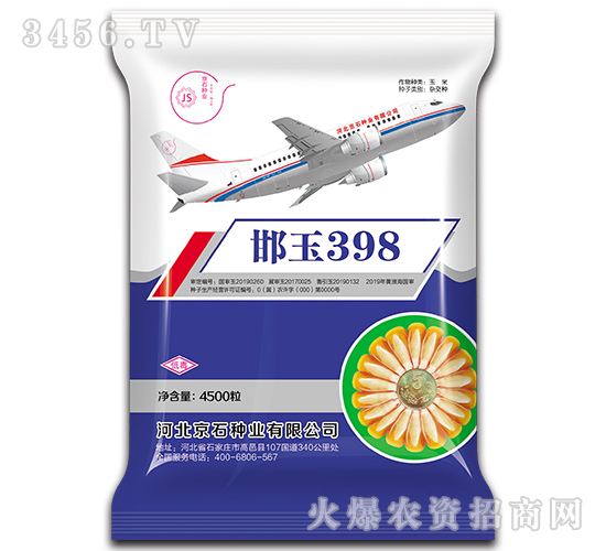 邯玉398-玉米種子-京石種業