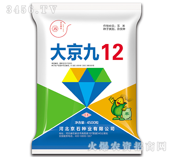大京九12-玉米種子-京石種業