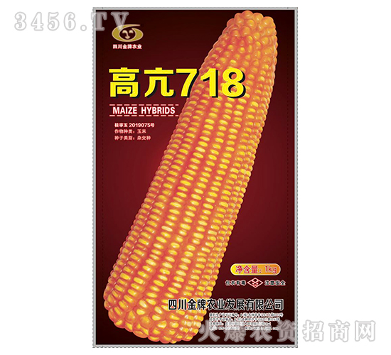 高亢718-玉米種子-金牌農業