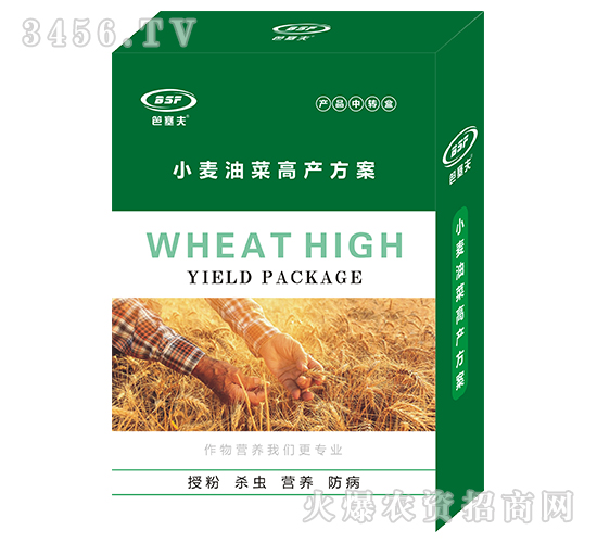 小麥油菜高產方案-笆塞夫