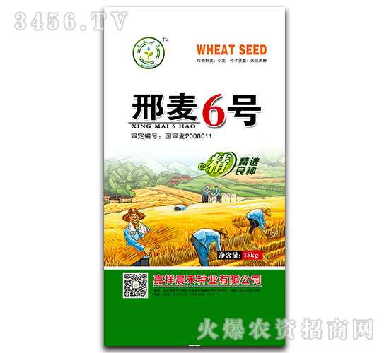 邢麥6號【15kg】-小麥種子-晨禾種業