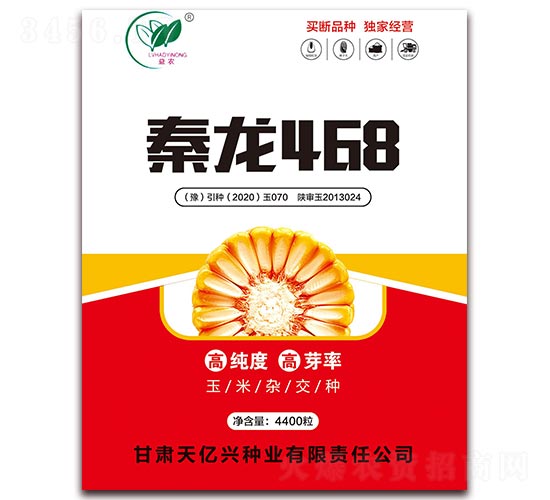 秦龍468-玉米種子-坤元種業