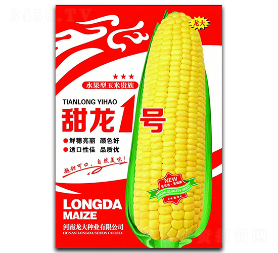 甜龍一號-玉米種子-龍大種業