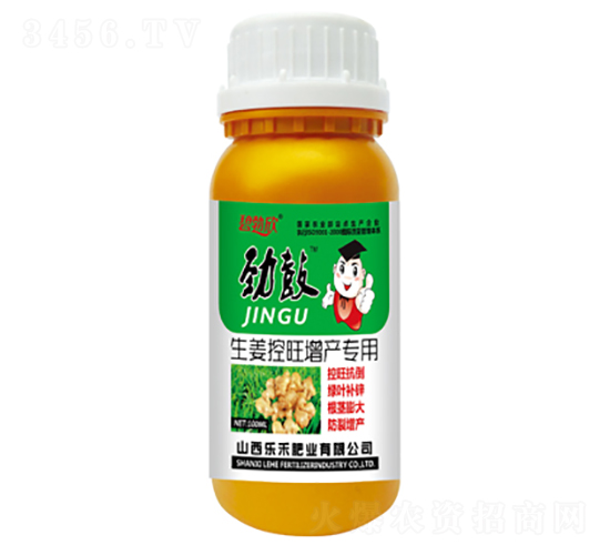 生姜控旺增產專用肥-勁鼓-樂禾肥業