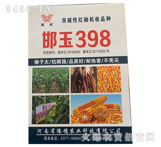 邯玉398-玉米種子-豫穗農業